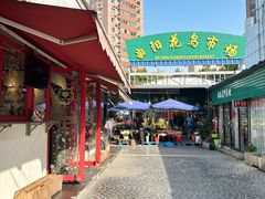 -曲阳花鸟市场(曲阳路店)