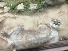 -杭州野生动物世界