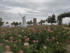 -玫瑰海岸文化旅游度假区