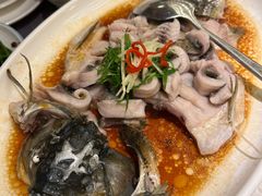 -巡味顺德菜(龙华壹方城店)