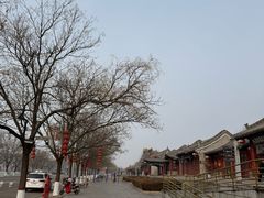 -大槐树寻根祭祖园