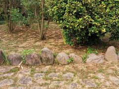 -福建鲤鱼洲酒店