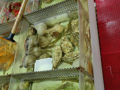 -肥弟大排档(汕樟路店)
