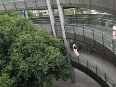 -福道