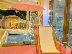 -天空花园餐吧·生日·团建(南山店)