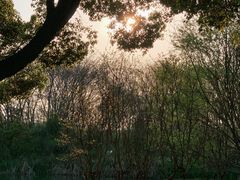 -梁鸿国家湿地公园