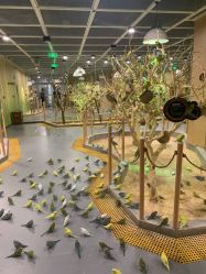 -七巧国萌宠乐园(龙湖天街店)