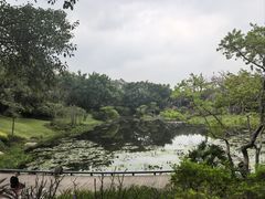 -云溪植物园