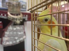 -潇湘·永州会馆(百子湾店)