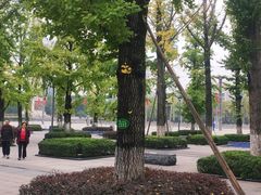 -百林公园-两江幸福广场