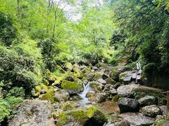 -青城山
