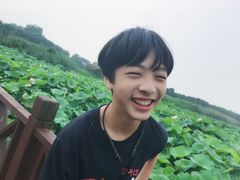 -荷塘月色湿地公园·向阳花洲