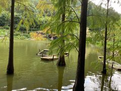 -深圳仙湖植物园