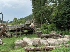 -宁波野生动物园