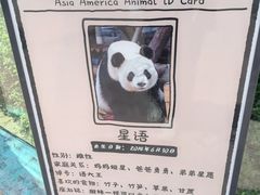 -泉州海丝野生动物世界