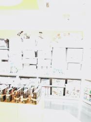 -乐高授权专卖店(浦东嘉里城店)