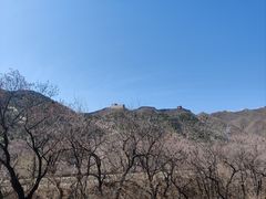 -居庸关长城