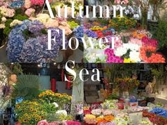 -双季花艺园艺市场(浦东店)