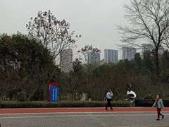 -龙头寺公园