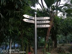 -清湖文化公园