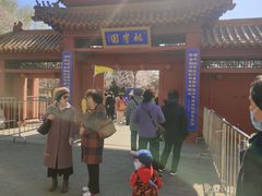 -桃花堤公园