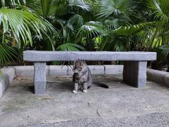 -晓港公园