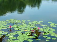 -同济大学(嘉定校区)