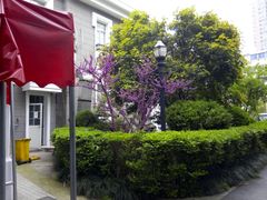 -君来梁溪饭店-餐厅
