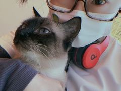-藏猫猫咖啡主题馆(中央大道店)