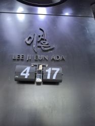 -韩国李知恩形象设计