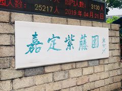 -嘉定紫藤园