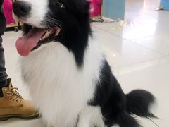 -乐宠宠物店(世纪金源店)