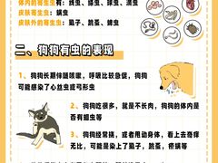 -美联众合动物医院·24h转诊中心