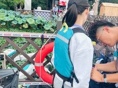 -金鸡湖桃花岛