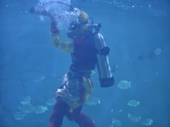 -常州海昌海洋探索馆