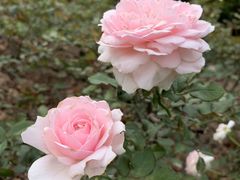 -人民公园(罗湖区)