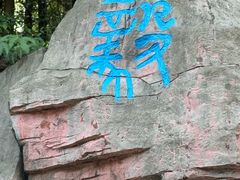 -三水森林公园