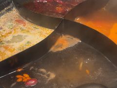 -朱光玉火锅馆(正弘城店)