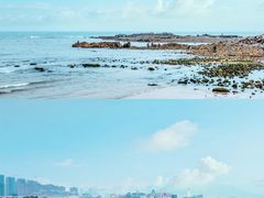-小麦岛公园