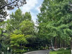 -苏州河梦清园环保主题公园