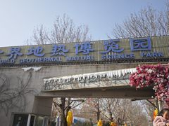 -南宫五洲植物乐园