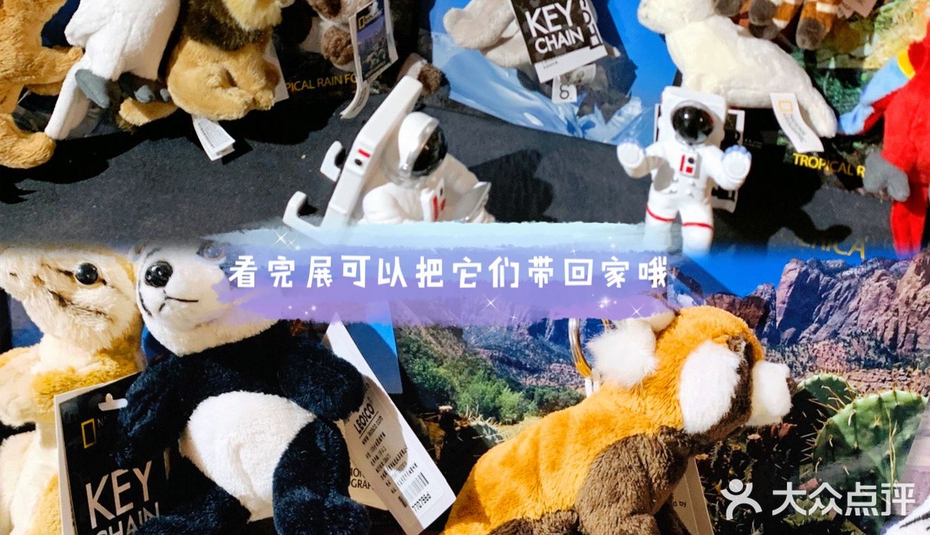国家地理影像大展——超越130年的经典