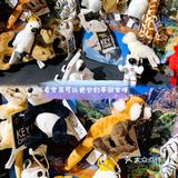 国家地理影像大展——超越130年的经典