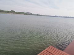 -丁香湖公园