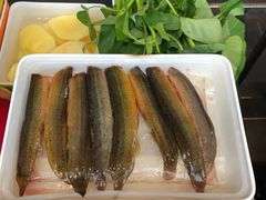 -川西坝子火锅(金沙1.0直营店)