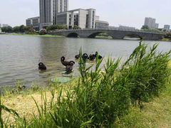-江南大学(蠡湖校区)