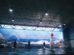 -秦皇岛乐岛海洋王国