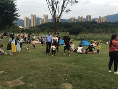 -牛岗山公园
