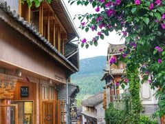 -YLK云南小粒咖啡·云里咖(二号店)