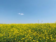 -扁都口生态休闲旅游区